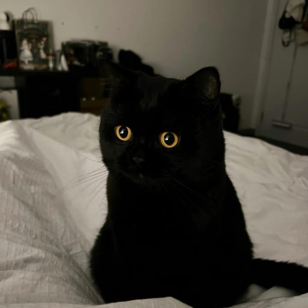 白日梦想家☁️