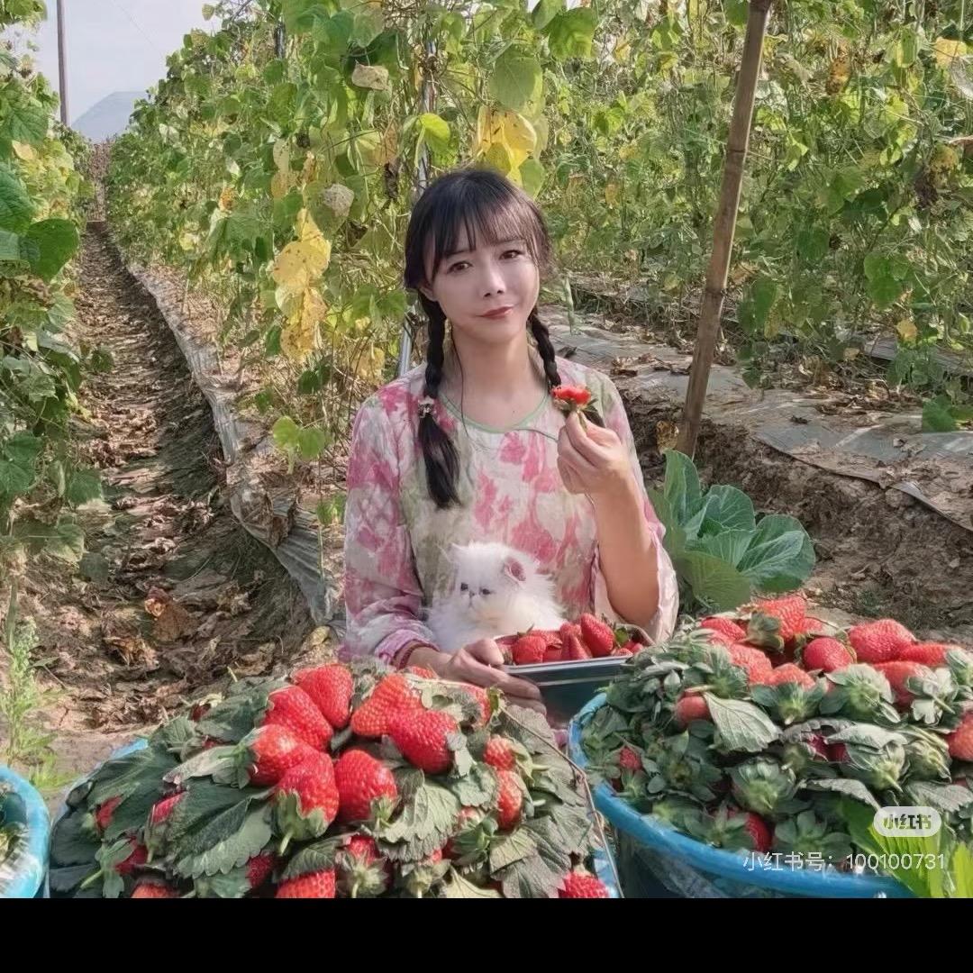 两筐水果干
