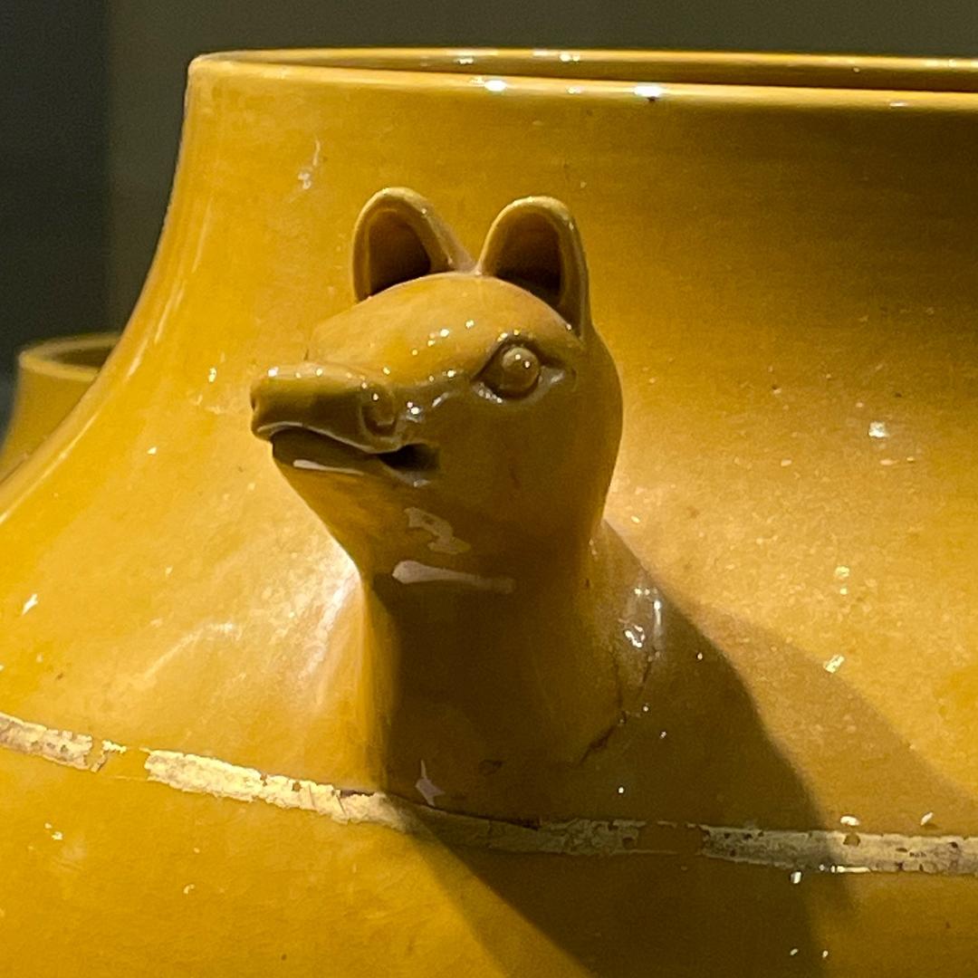 南通沿海薛薛老师