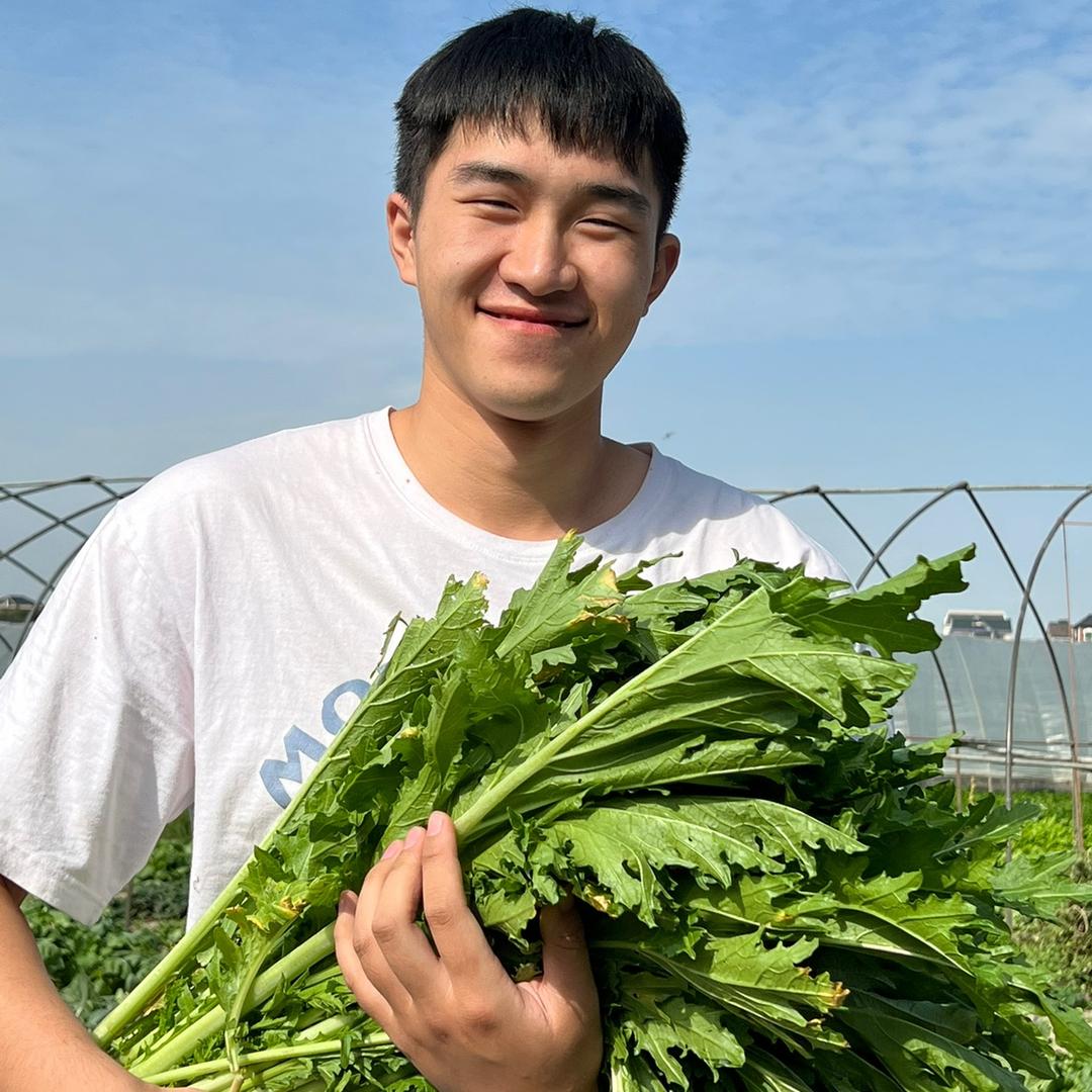 小李家的梅干菜