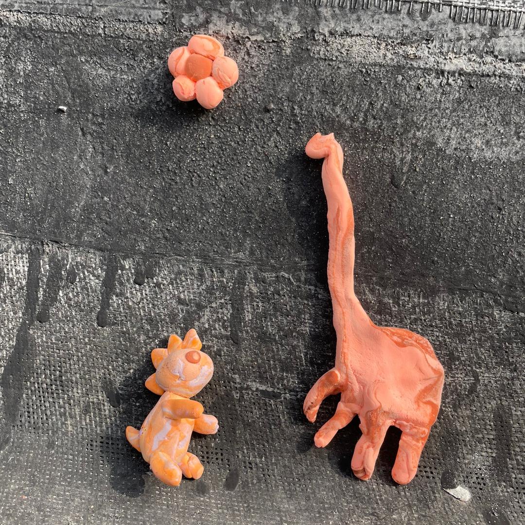 🌸张鱼小丸子🍡