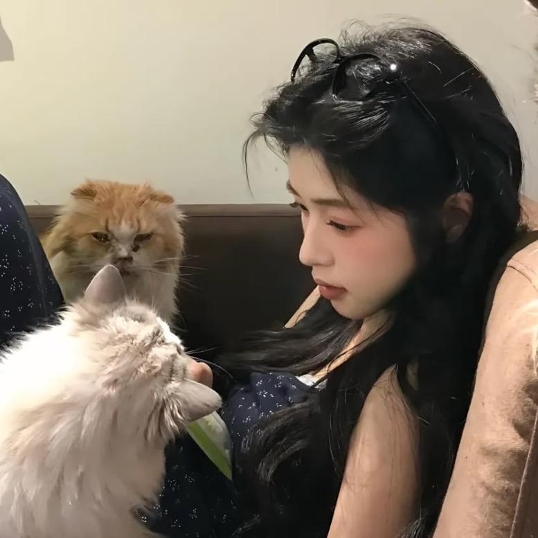 萌🌙