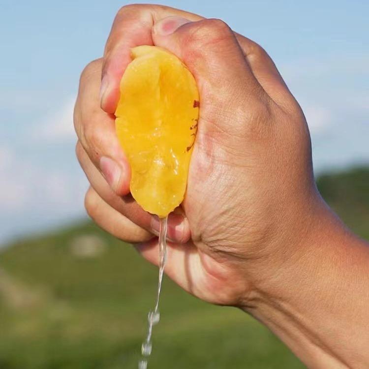 昆明桃花芯水果批发