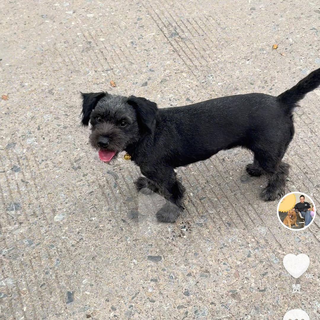 卤蛋留下狗头♏️