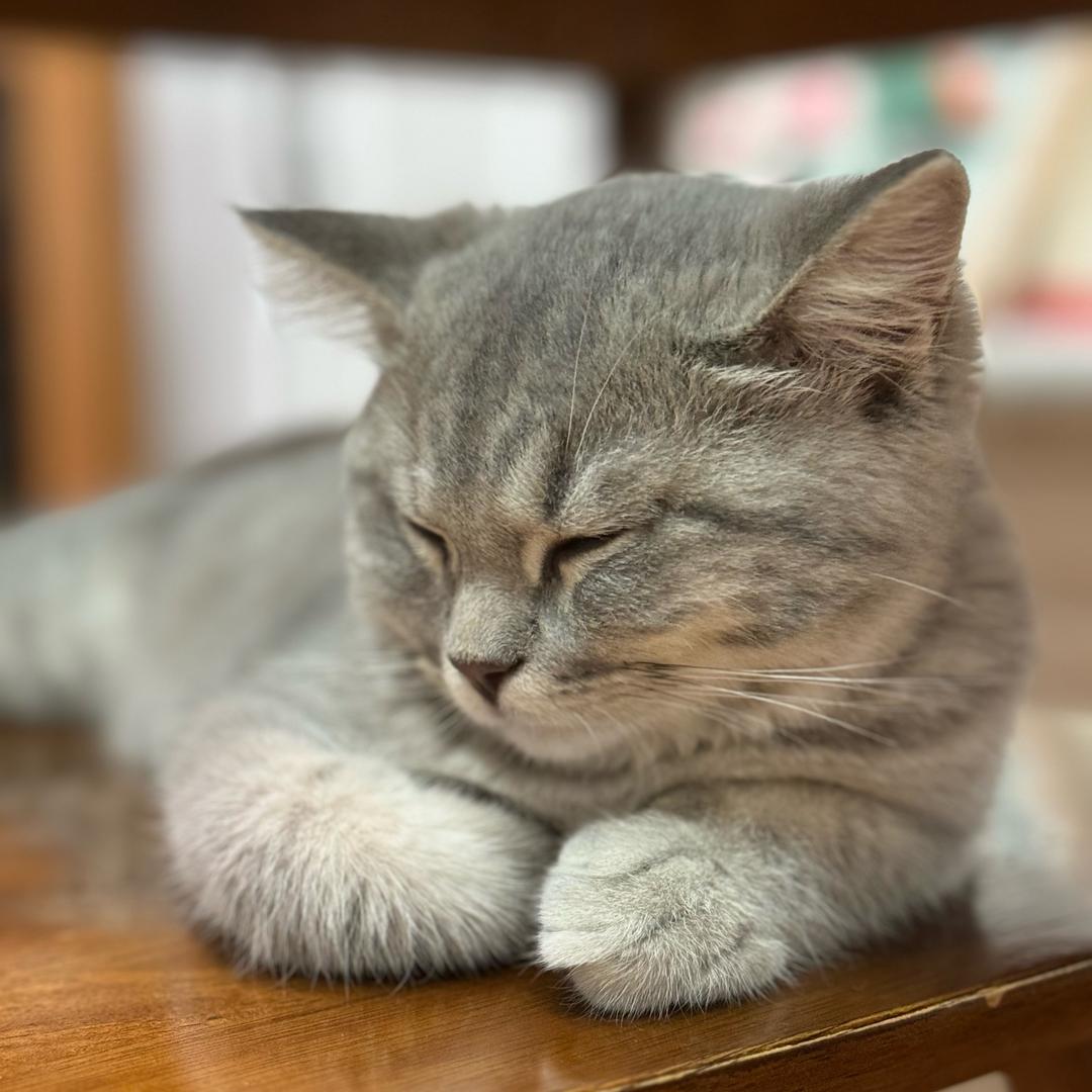 盛夏光年