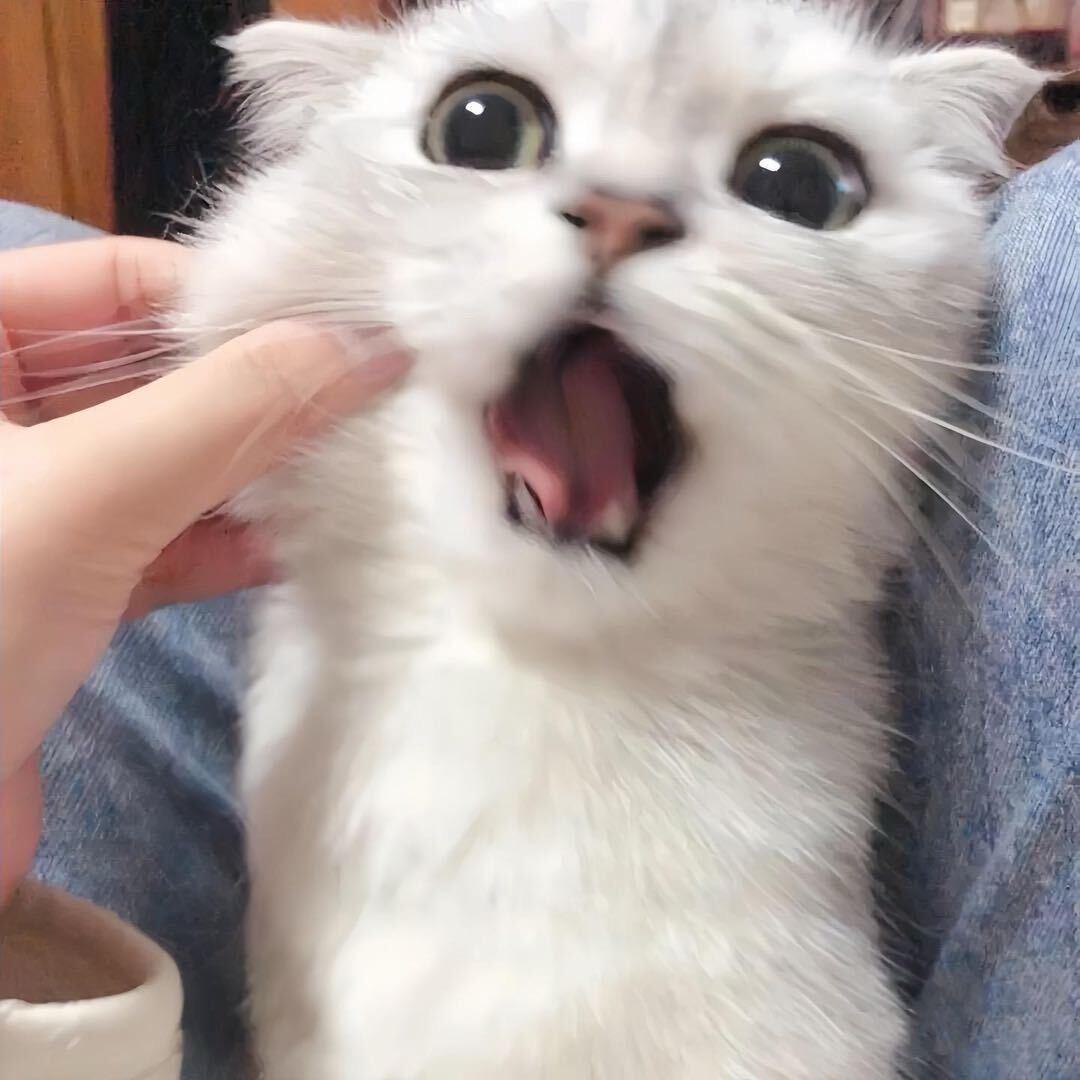 眠