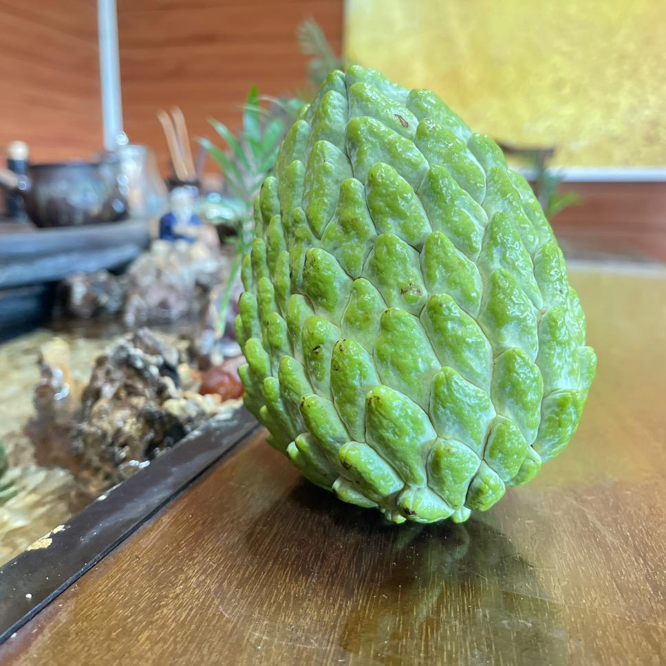 乐森农业