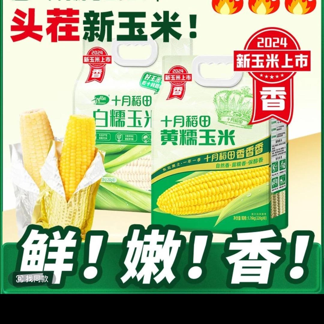 十月稻田糯玉米🌽