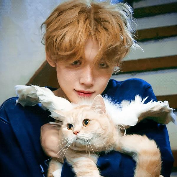 也许疯狂(社畜版)