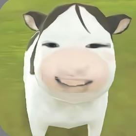 yo哈哈