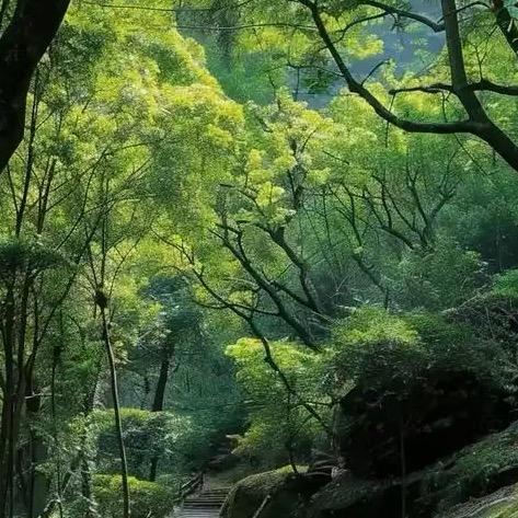 夏日优选