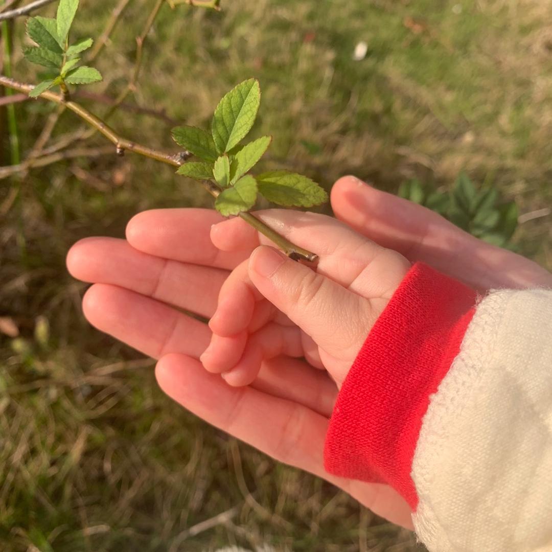 一颗墙头草🌱