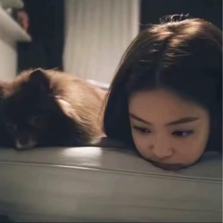 小猫不吃鱼
