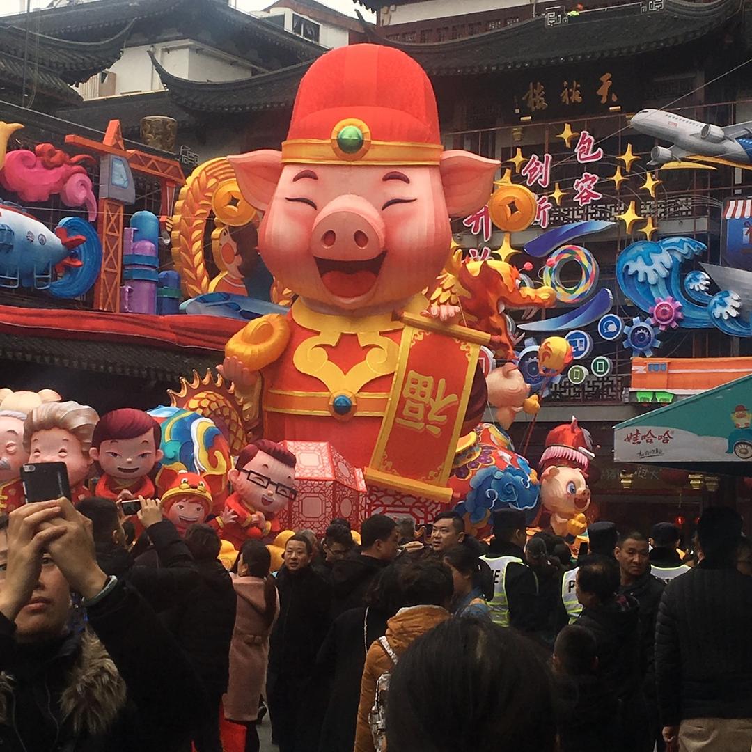飞翔的鱼