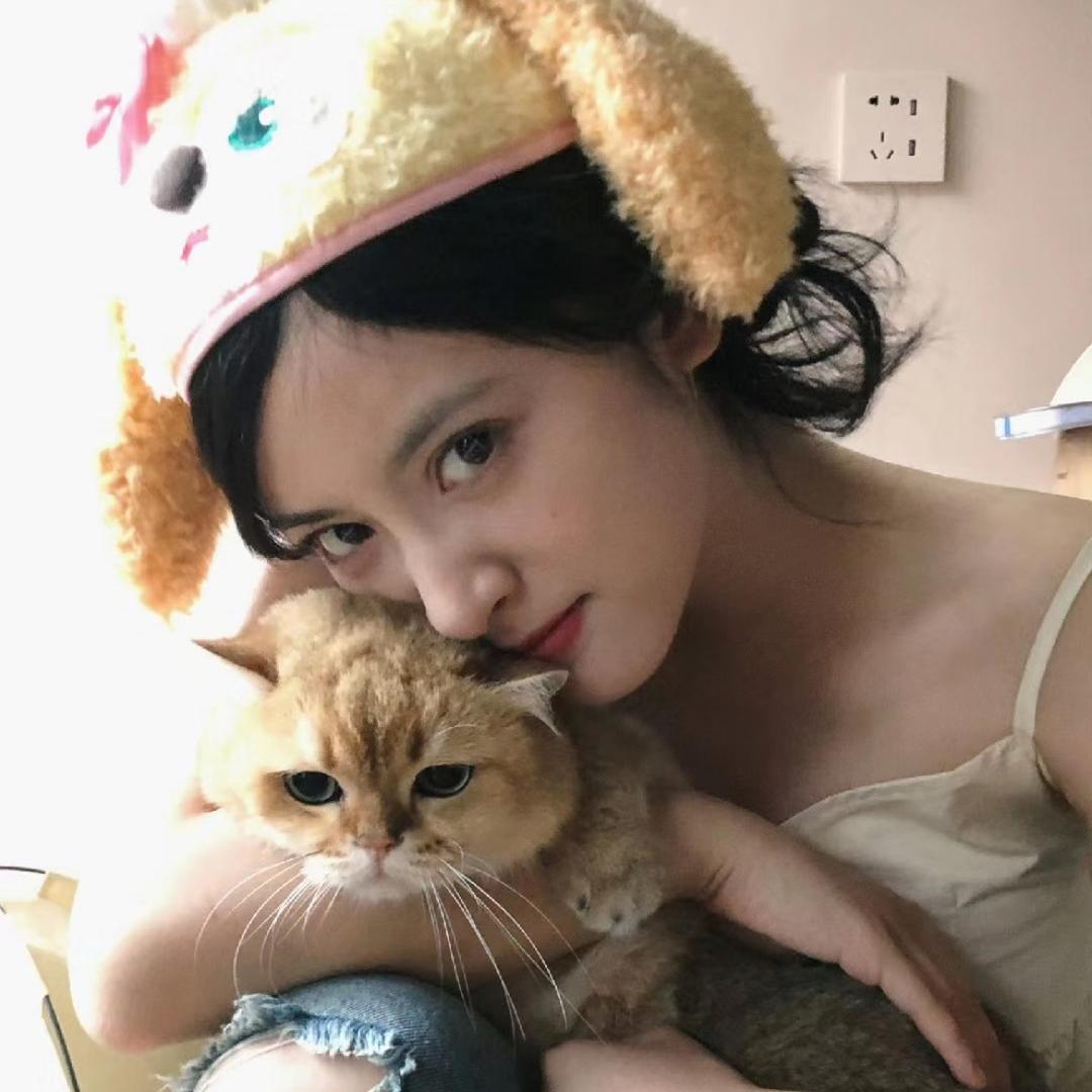 枣点睡觉💤