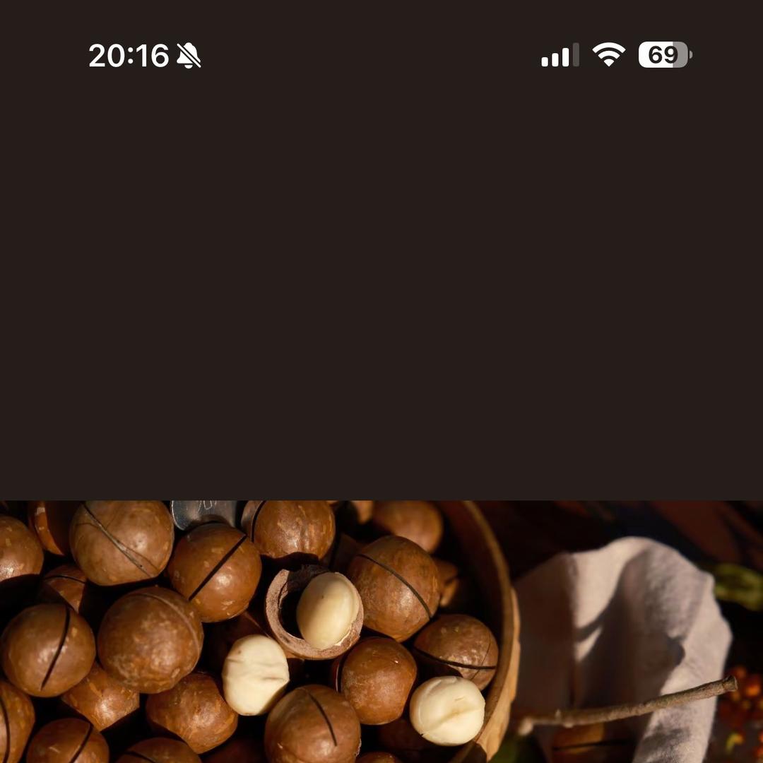 成巨同坚果