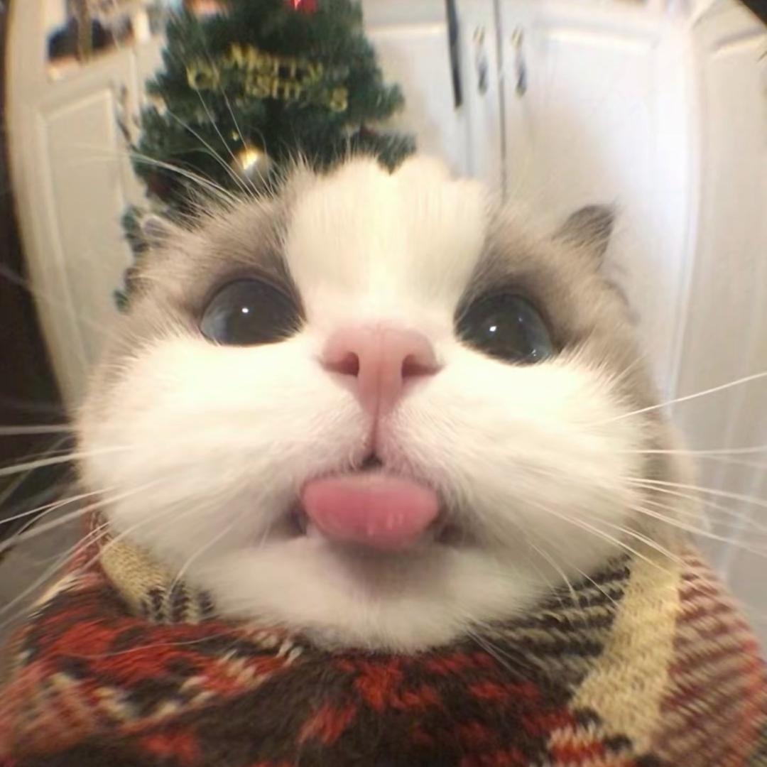 晚上好（见过王源王俊凯版）