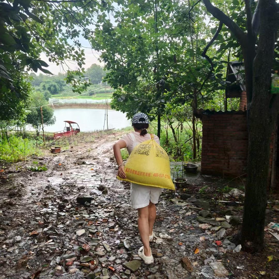 “凉山啊惹”在成都种地