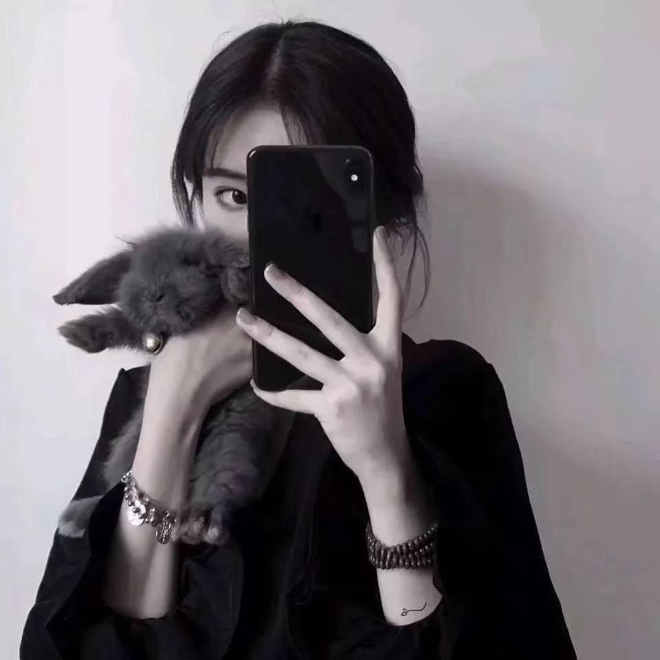 独一的猫