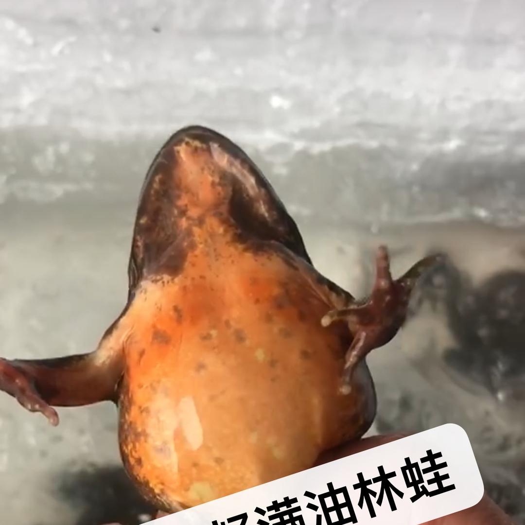 辽宁正茂通商贸有限公司