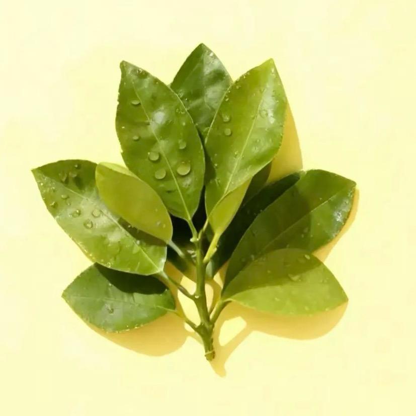 小歪Yºº