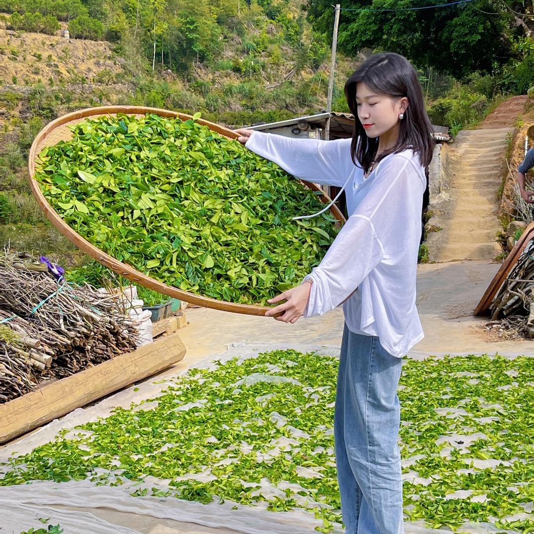 丛状元茶叶旗舰店