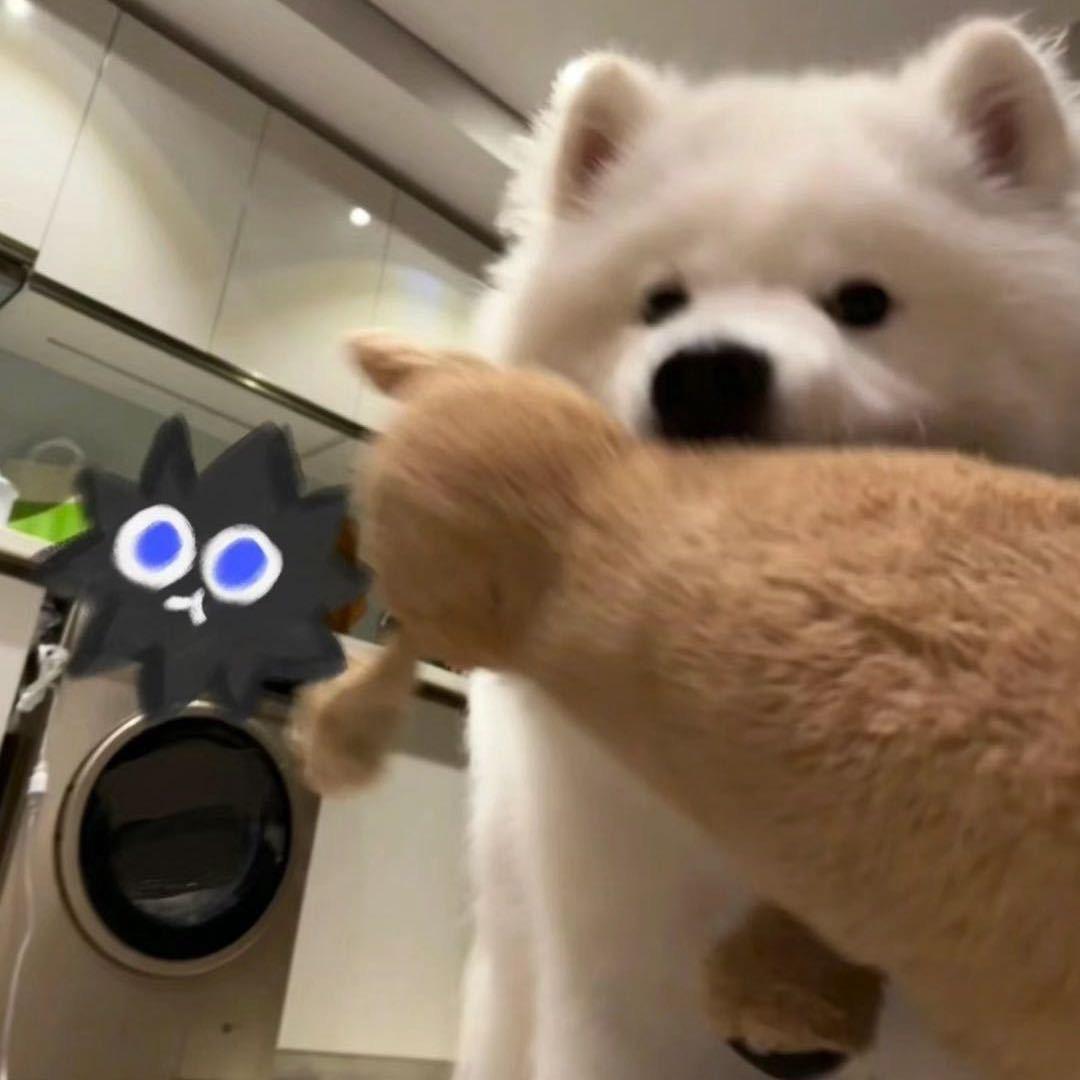 屁炎