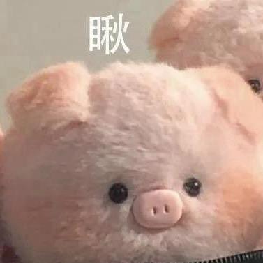 95号多多多选手