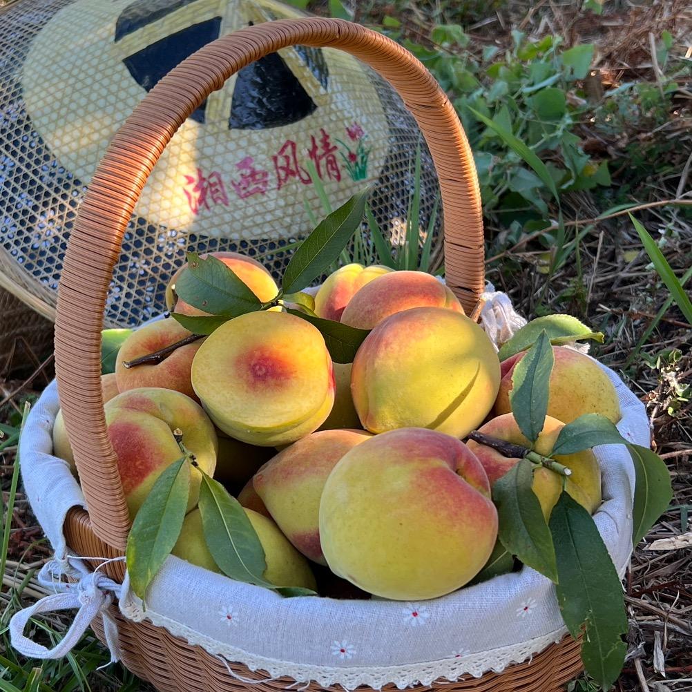 青果农夫生鲜