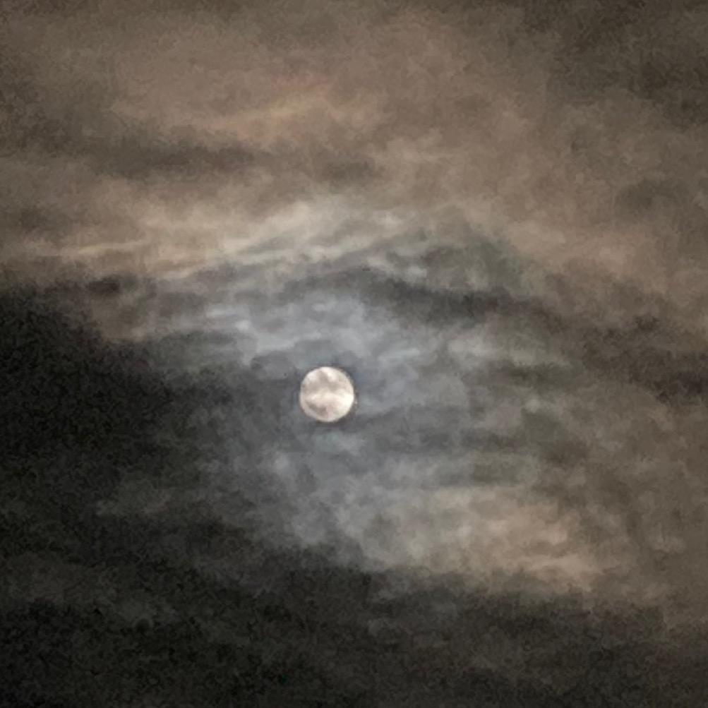 ᶻ📷