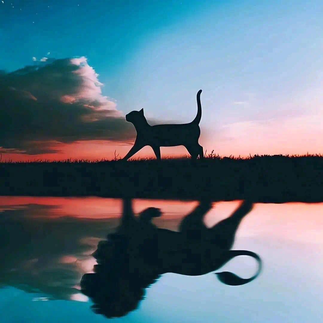 香蕉你个不呐呐