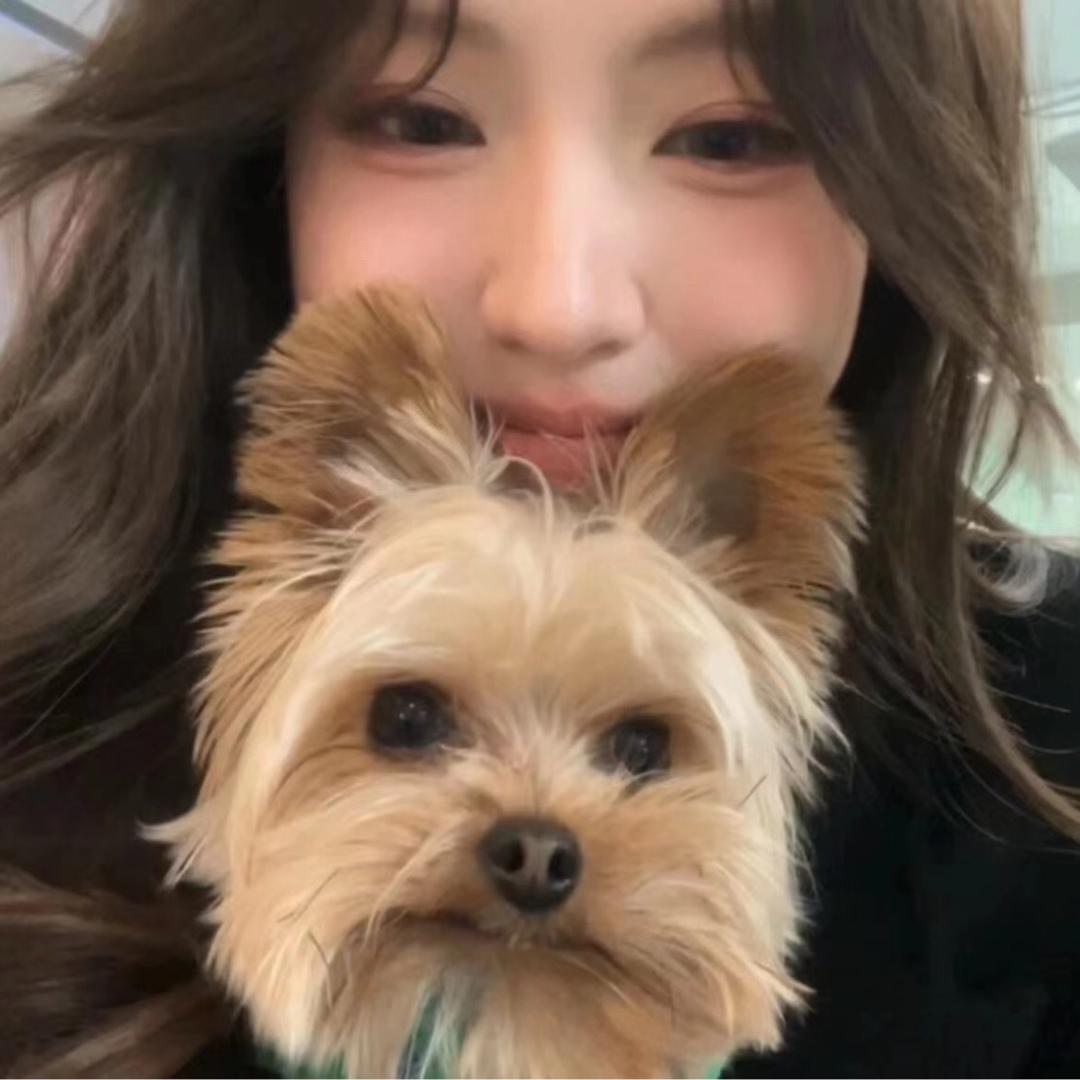 houuei˗ˋˏ𓆙ˎˊ˗