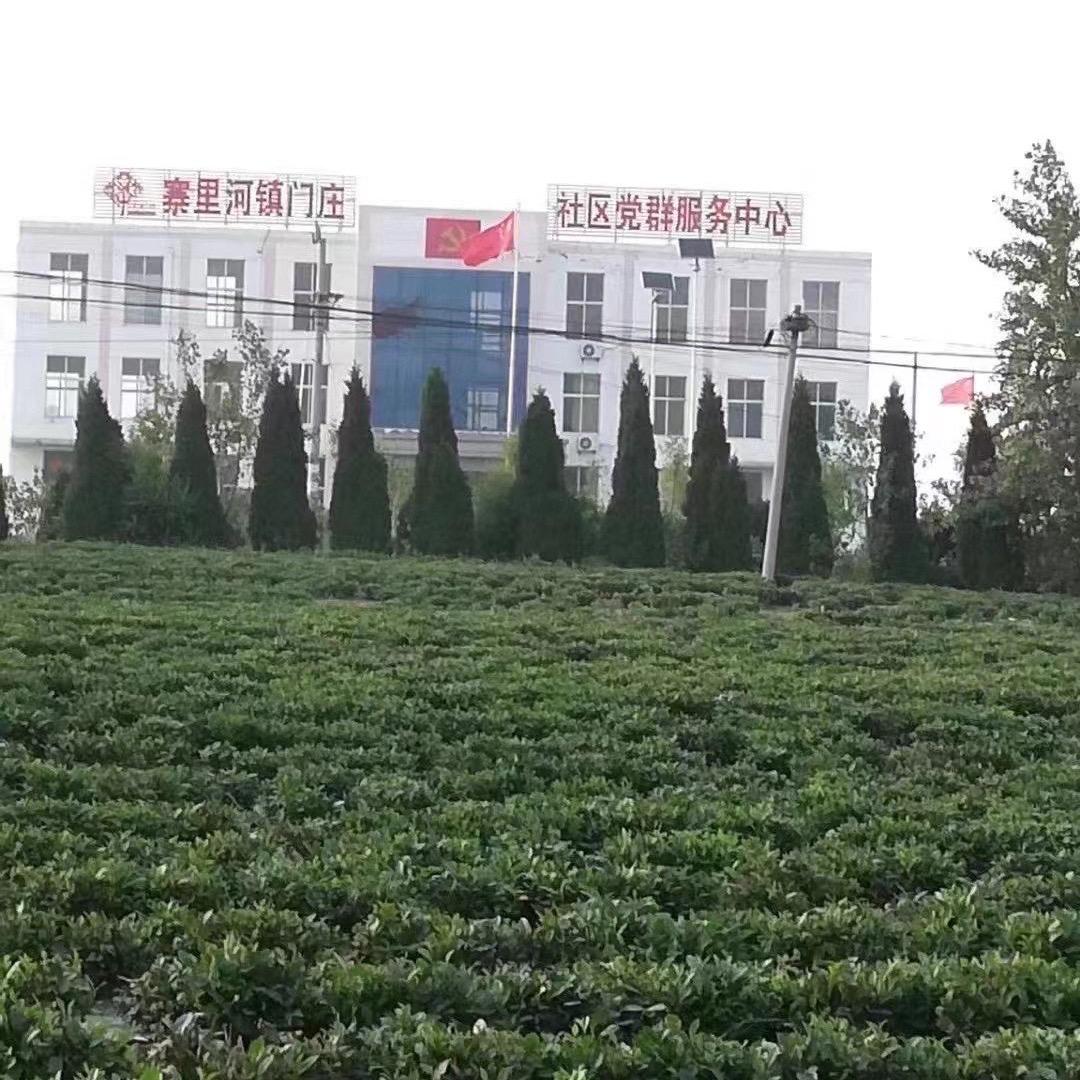 WDL寨里河绿茶