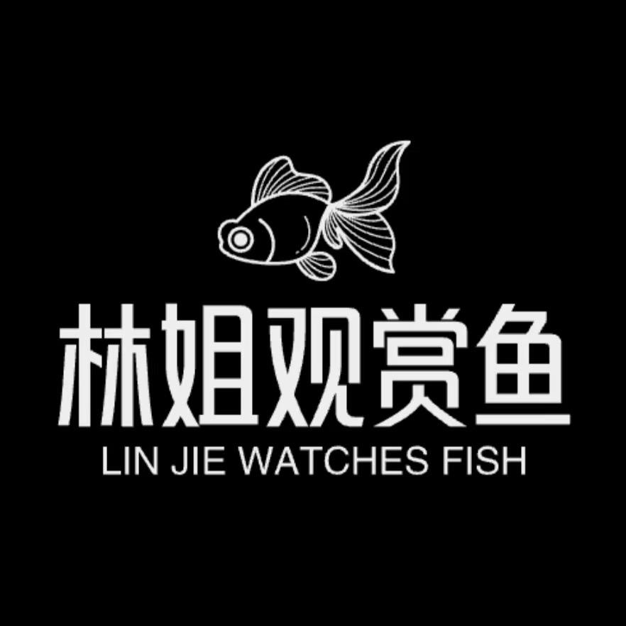 林姐观赏鱼