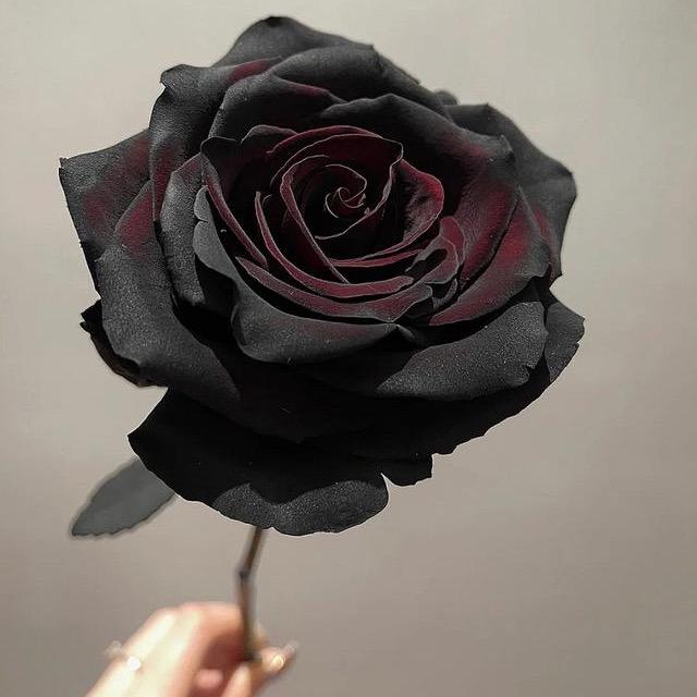 一颗糖