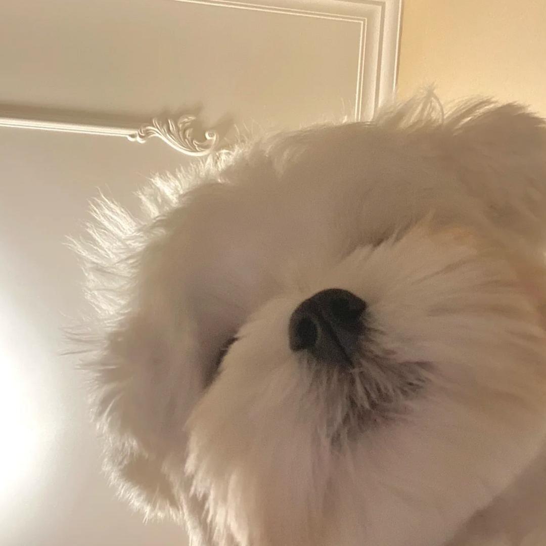 雪人