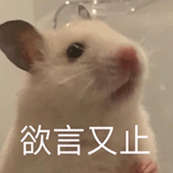 嗯嗯嗯好好好