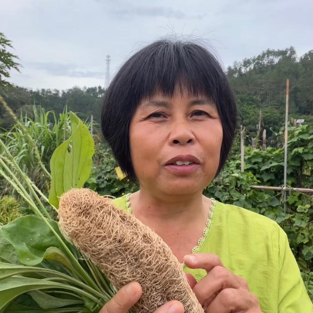 梅姐讲百草