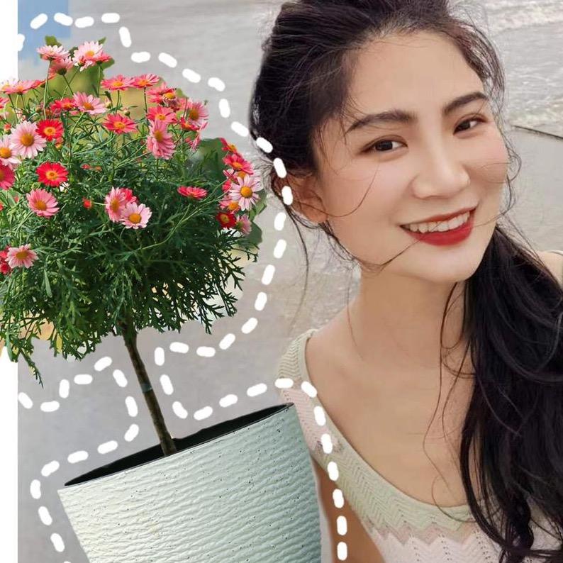 森林的小口袋