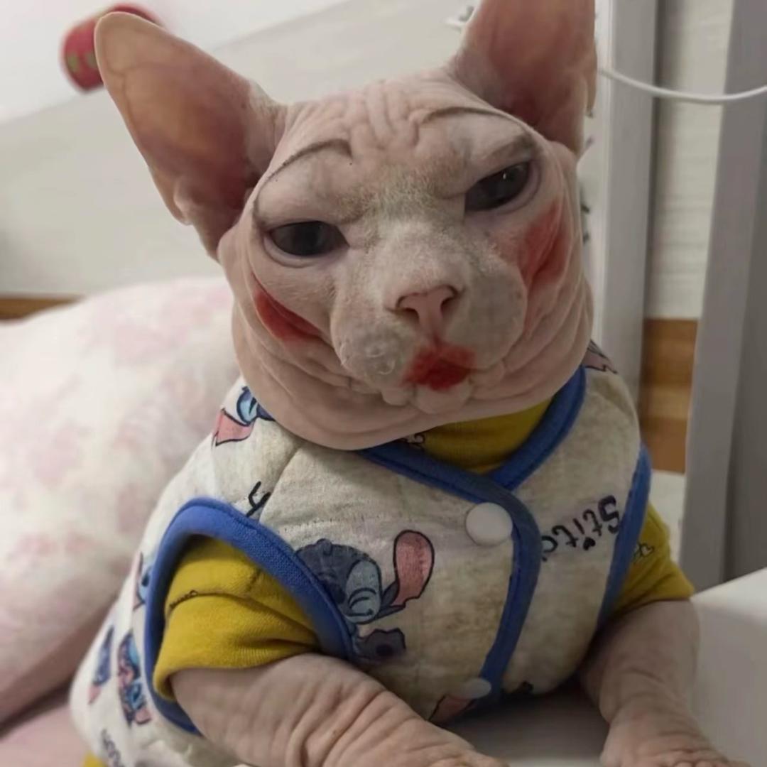 王小米很可爱