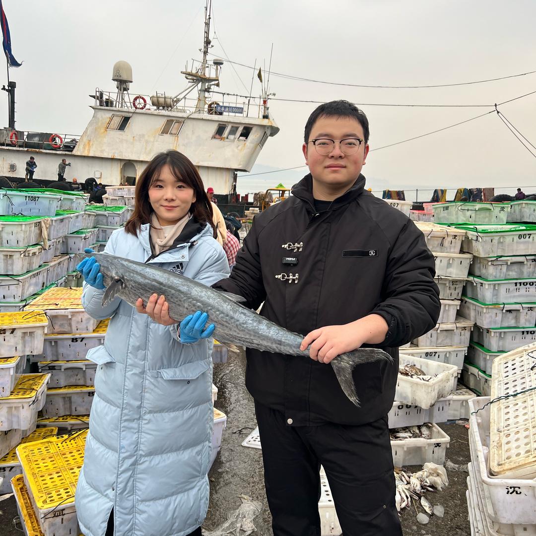 东海双乔海捕直发