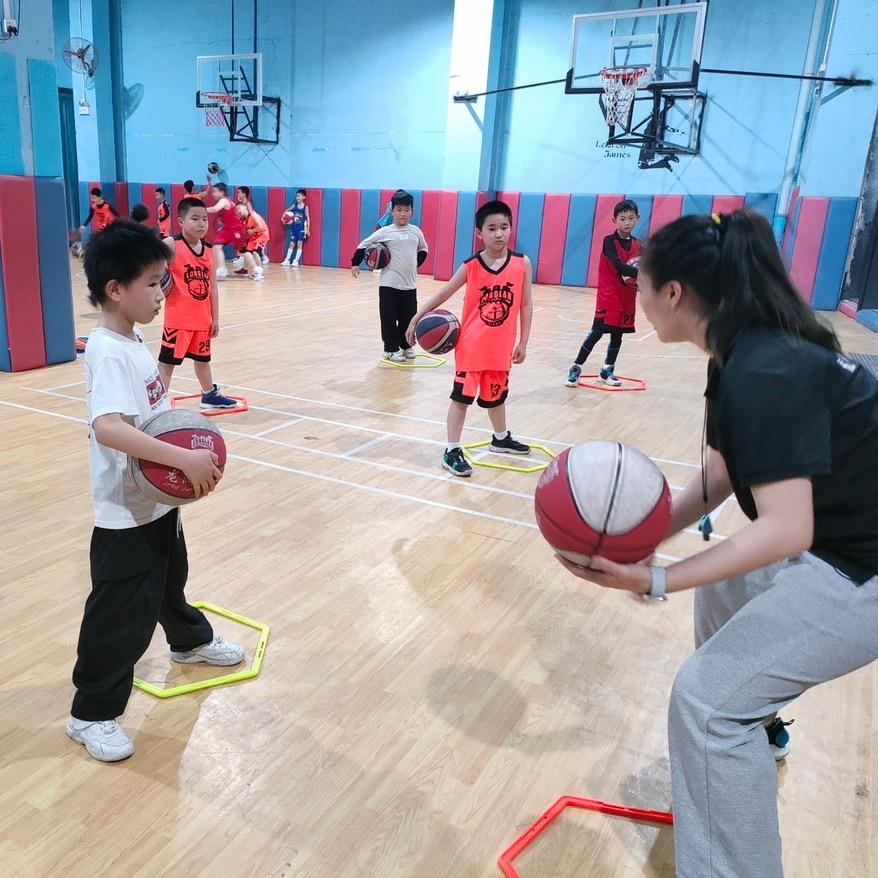 龙澜🏀陈教练