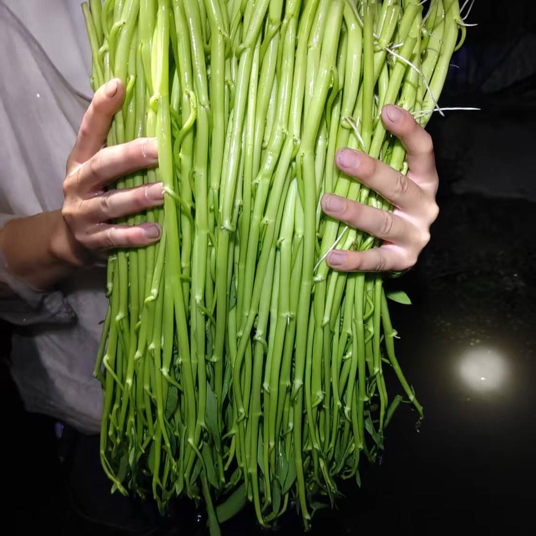 博白空心菜农产品严选铺子
