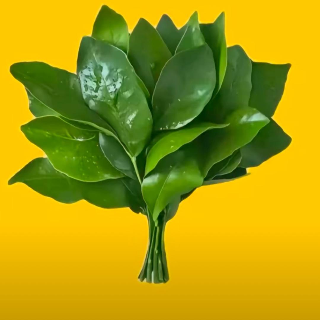 如初❤️❤️❤️