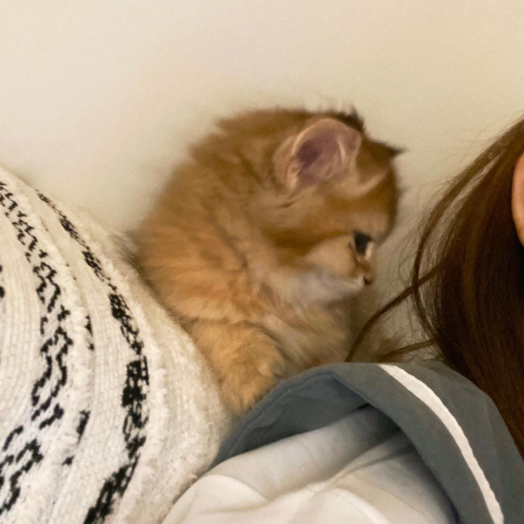 闪闪发光的闪✨