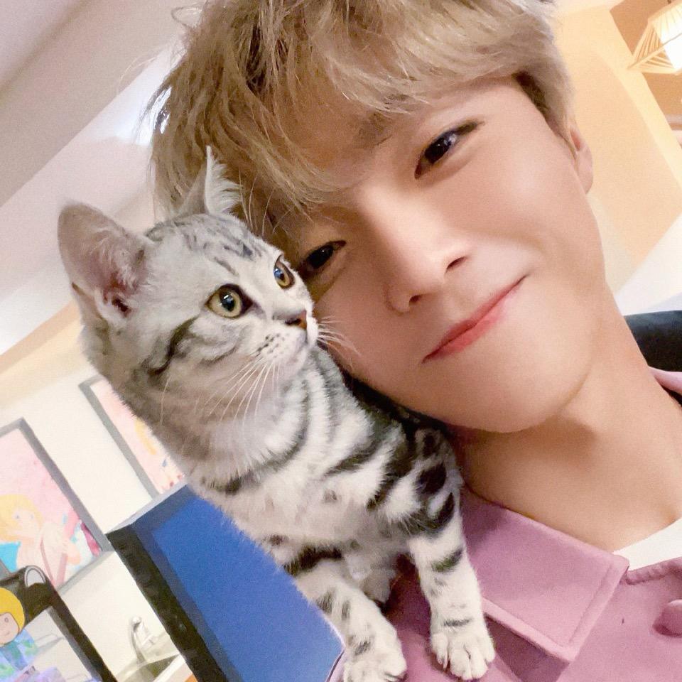NNlinong_