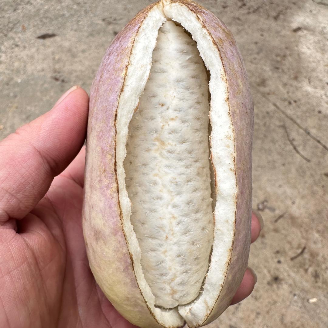 廖星选老甩超市