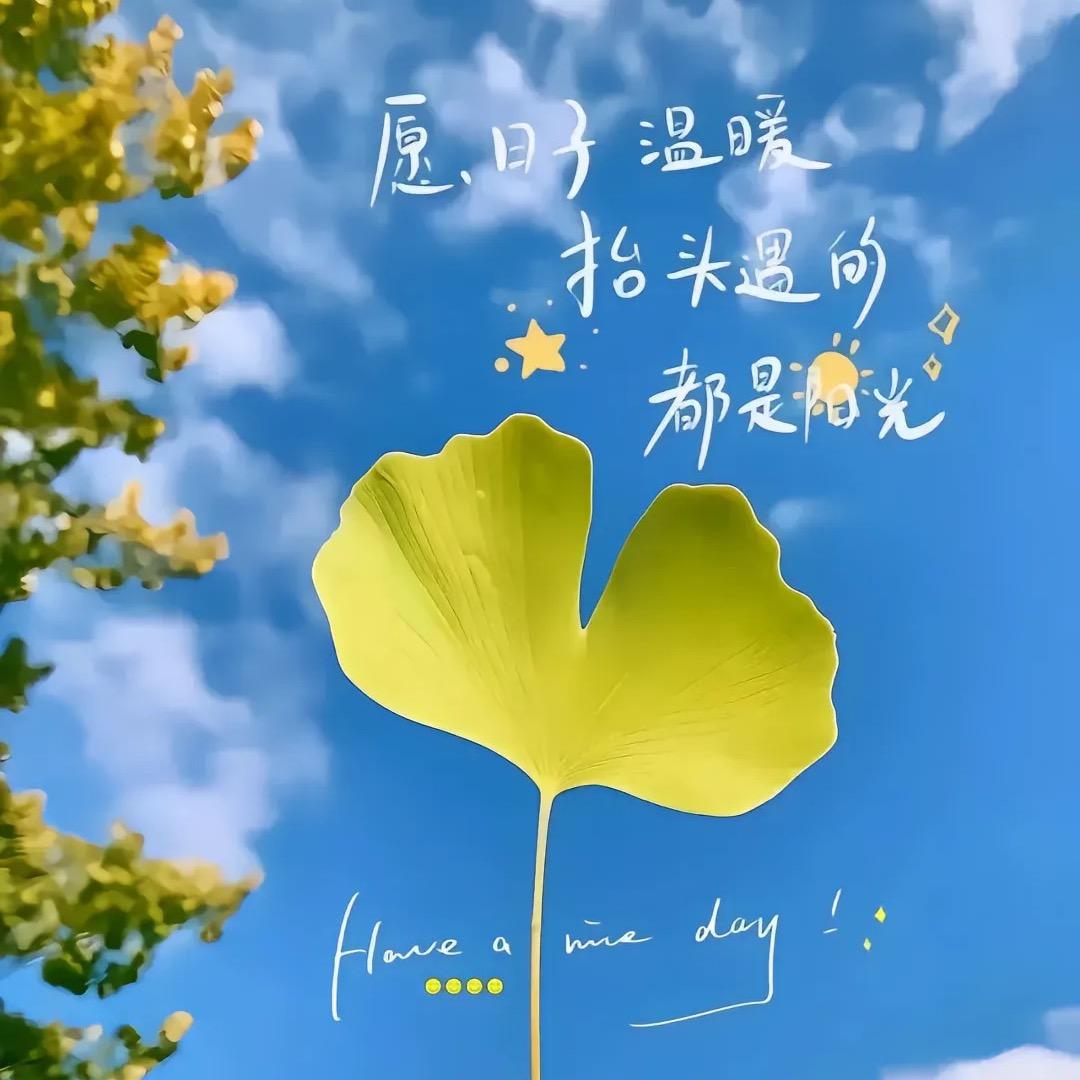 予安予乐