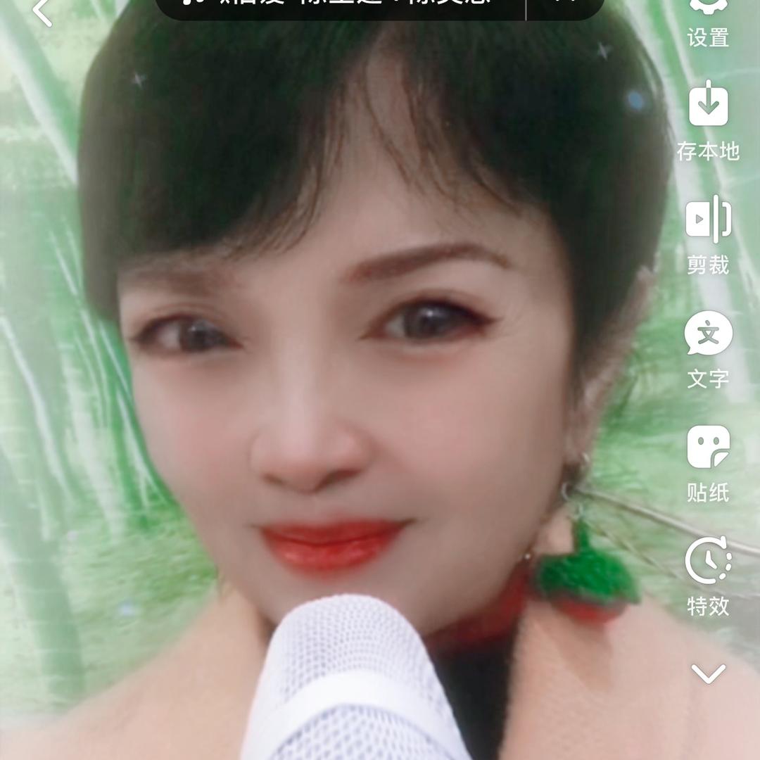 娟子户外K歌设备