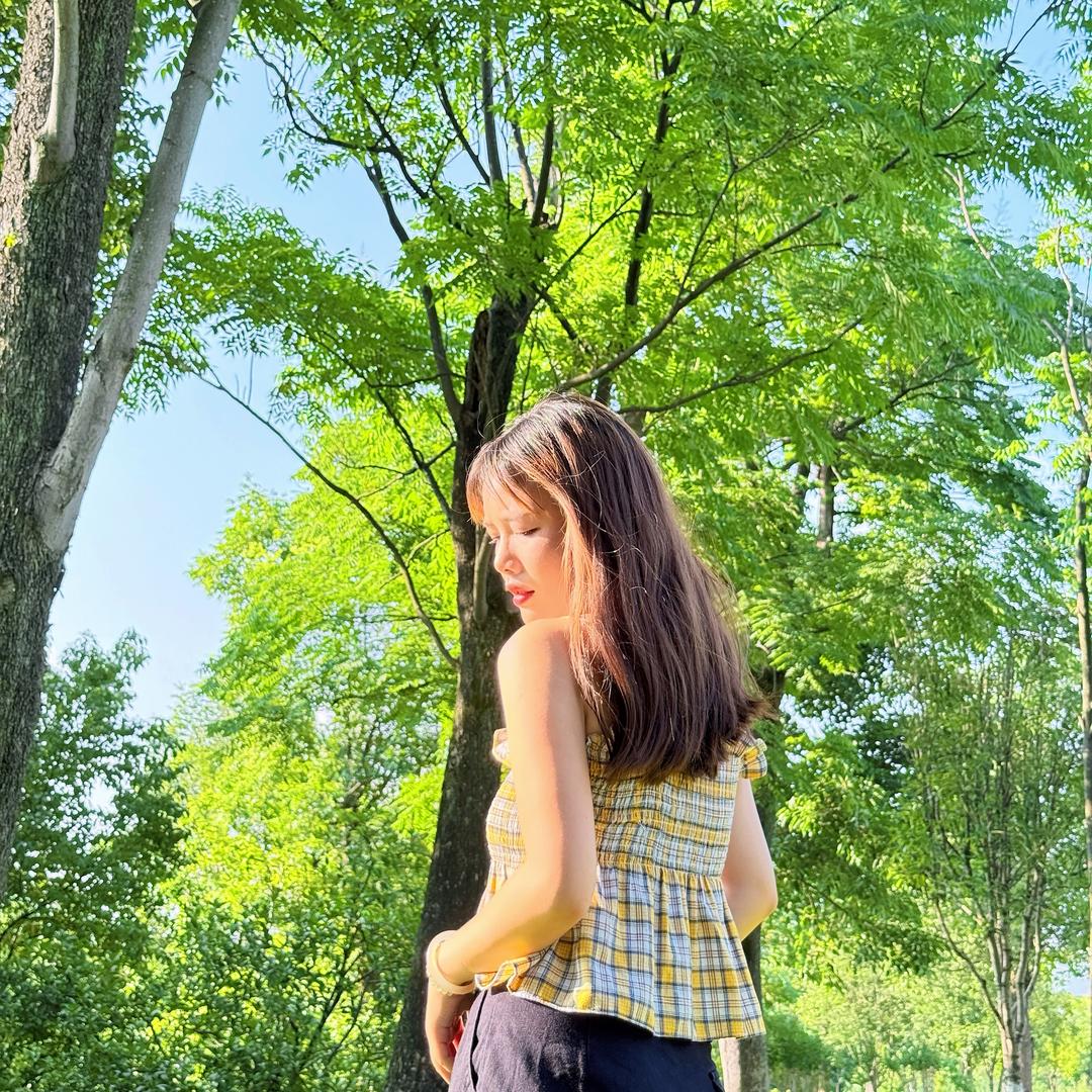榆木脑袋